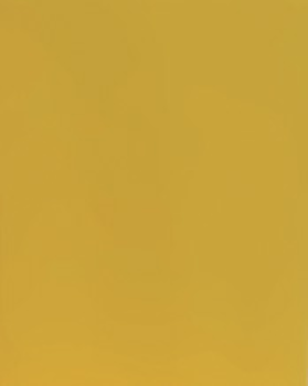E-Colour+, 020, Medium Amber, Rolle: 1,22 x 7,62m