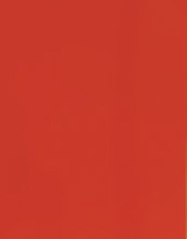 E-Colour+, 019, Fire, Rolle: 1,22 x 7,62m