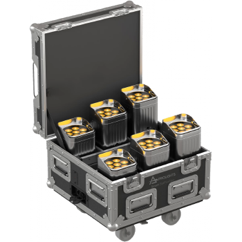 Smart BatPlusNeo Pack, chrom-farben, 6er Set, inkl. Lade-Case